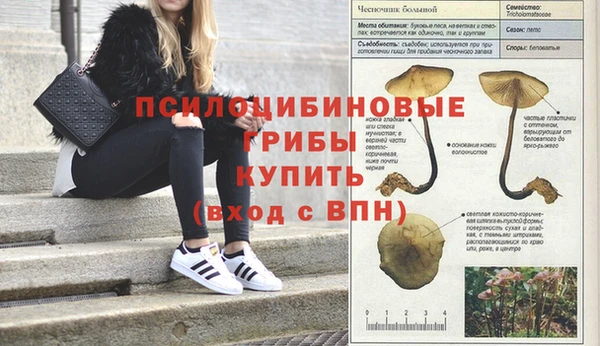 каннабис Алзамай