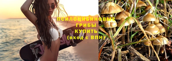 каннабис Алзамай