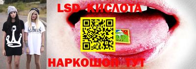apvp Рыбинск