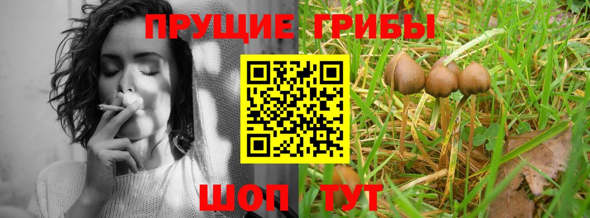 Галлюциногенные грибы ЛСД Карабулак